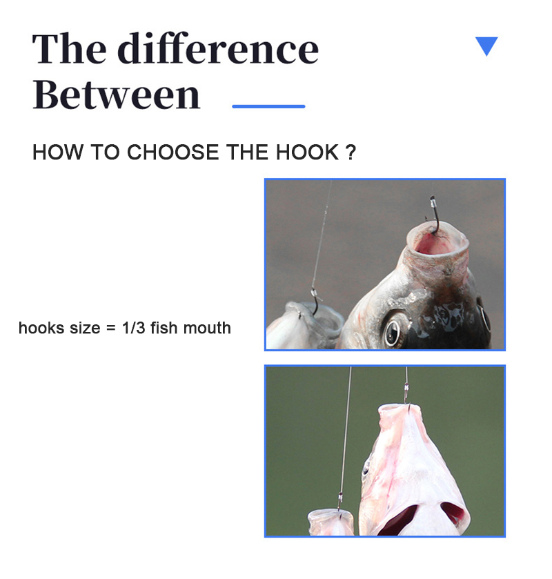 10 Pasang Kait Pancing dengan  - Fishing Hook Assortment ulasan dan harga